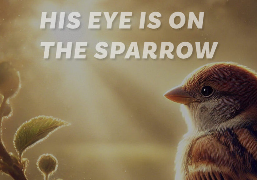 His Eye Is On The Sparrow